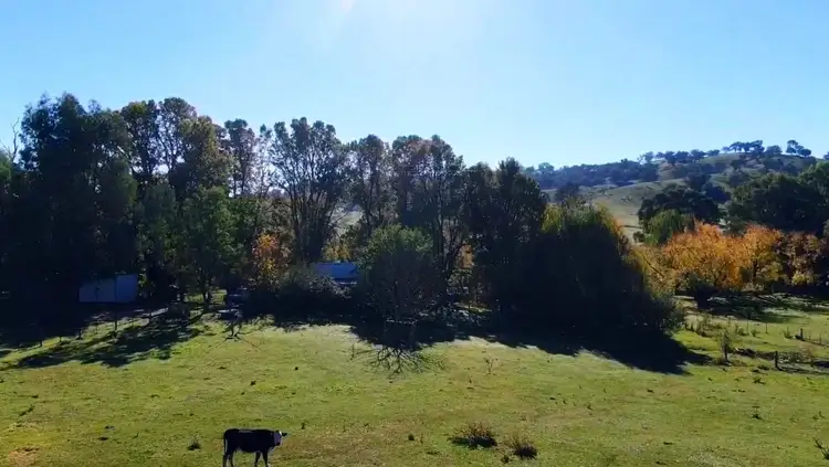 Fourth view of Homely rural property listing, 736 Woomargama Way, Woomargama NSW 2644