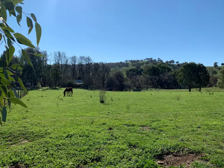 Fifth view of Homely rural property listing, 736 Woomargama Way, Woomargama NSW 2644