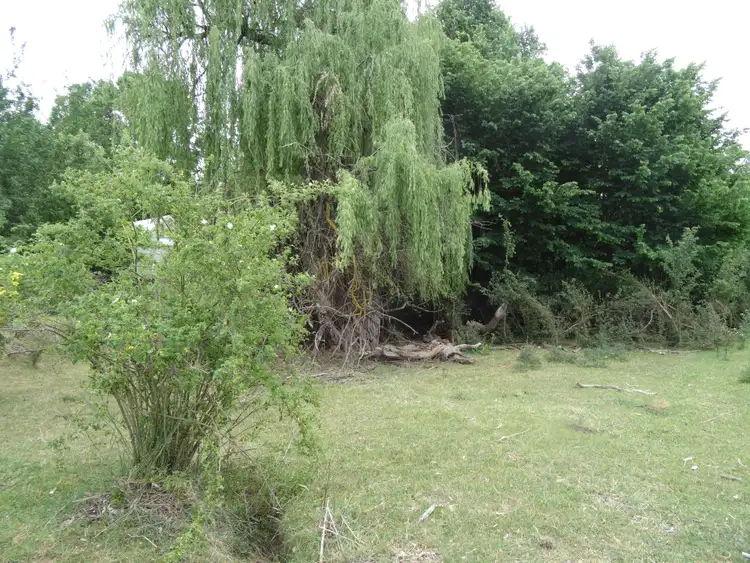 Sixth view of Homely rural property listing, 736 Woomargama Way, Woomargama NSW 2644