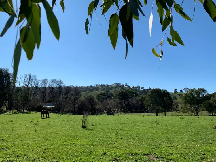 Seventh view of Homely rural property listing, 736 Woomargama Way, Woomargama NSW 2644