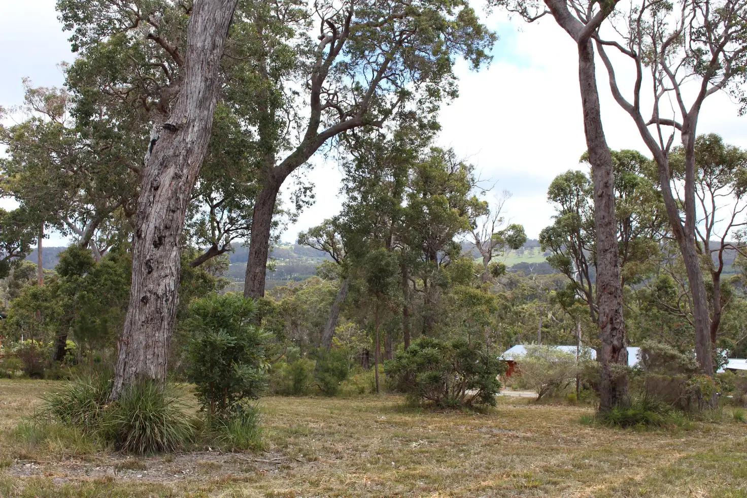 Main view of Homely land listing, 9 Coughlan Grove, Denmark WA 6333