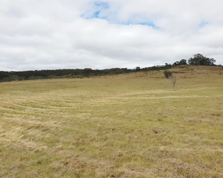 Seventh view of Homely rural property listing, 3364 Cooma Road, Braidwood NSW 2622
