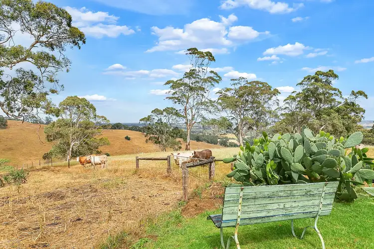 132 Cut Hill Road, Kangarilla SA 5157