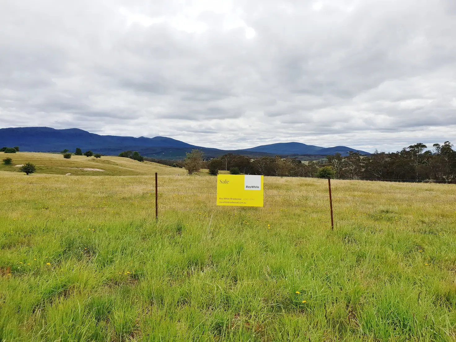 Main view of Homely rural property listing, 418 Parlour Creek Road, Braidwood NSW 2622