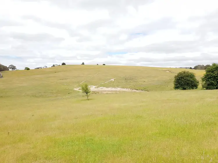 Fourth view of Homely rural property listing, 418 Parlour Creek Road, Braidwood NSW 2622