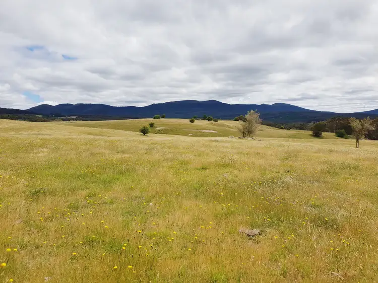 Fifth view of Homely rural property listing, 418 Parlour Creek Road, Braidwood NSW 2622