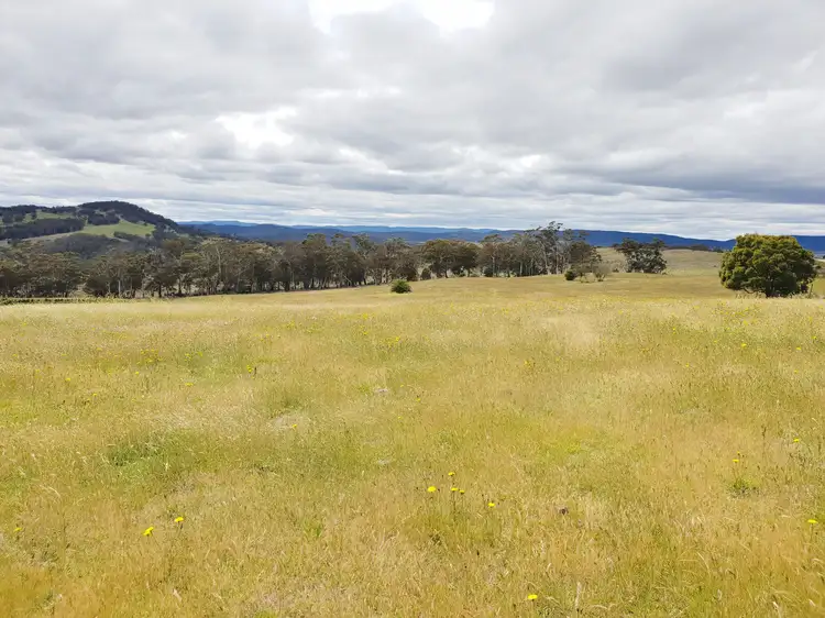 Sixth view of Homely rural property listing, 418 Parlour Creek Road, Braidwood NSW 2622