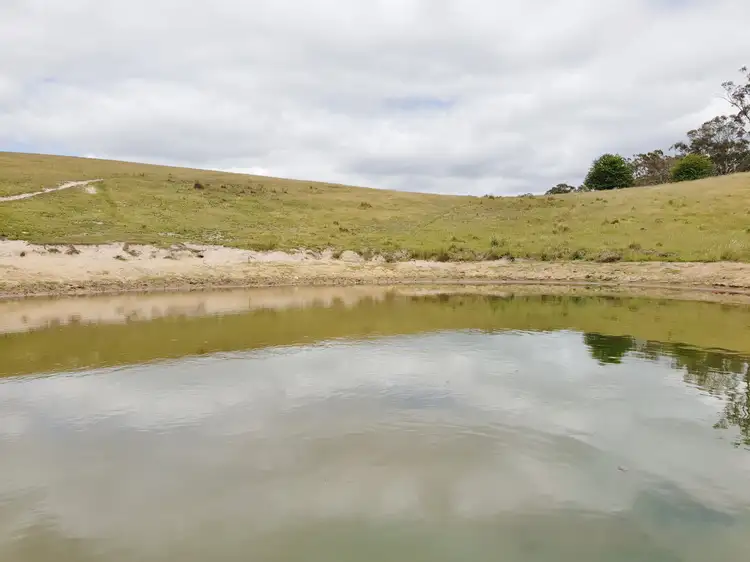 Seventh view of Homely rural property listing, 418 Parlour Creek Road, Braidwood NSW 2622