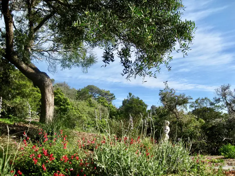Seventh view of Homely house listing, 16 Cape Schanck Road, Cape Schanck VIC 3939