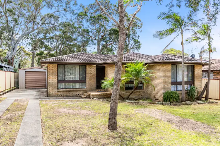 51 Penrose Drive, Avondale NSW 2530