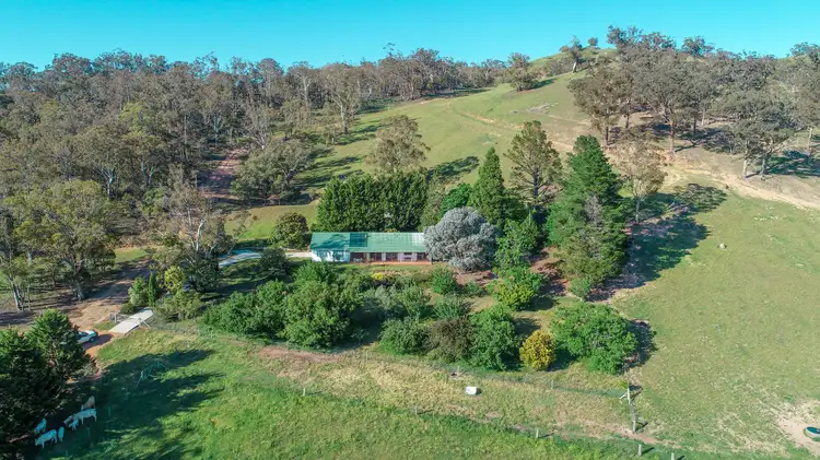 Main view of Homely rural property listing, 818 Marsden Swamp Road, Ganbenang NSW 2790