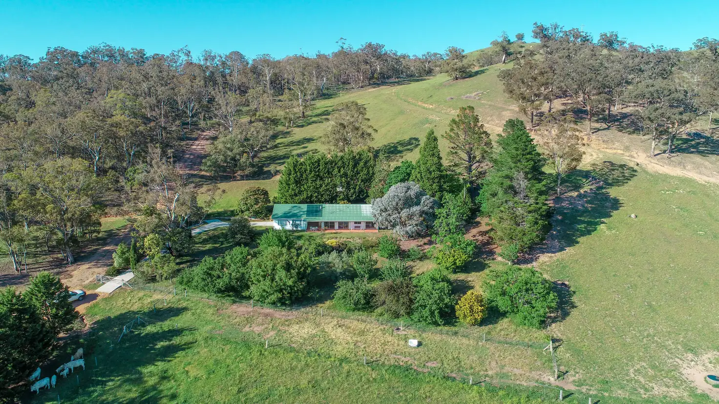 Main view of Homely rural property listing, 818 Marsden Swamp Road, Ganbenang NSW 2790