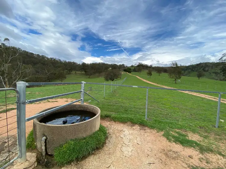 Third view of Homely rural property listing, 818 Marsden Swamp Road, Ganbenang NSW 2790