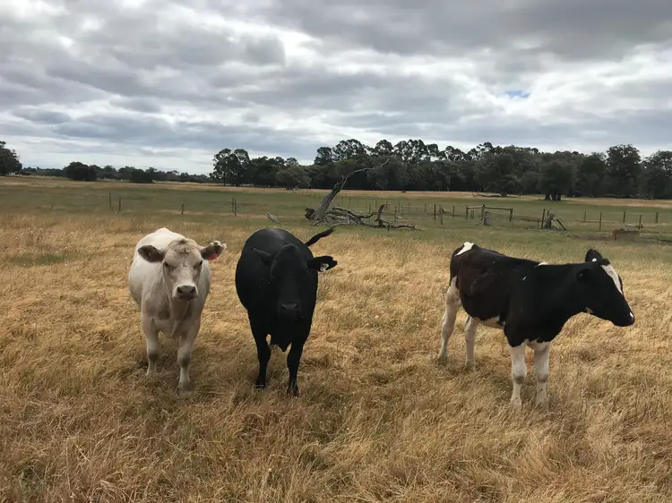 Lot 58 Martin-Pelusey Road, Waterloo WA 6228