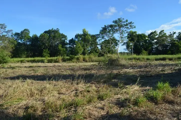 Fifth view of Homely rural property listing, 44 Dargin Road, Maria Creeks QLD 4855