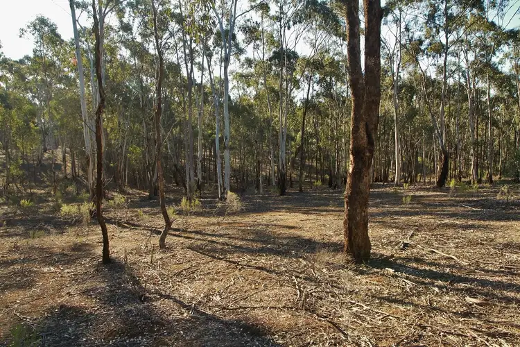 Main view of Homely land listing, 34B Mia Mia - Derrinal Road, Derrinal VIC 3523
