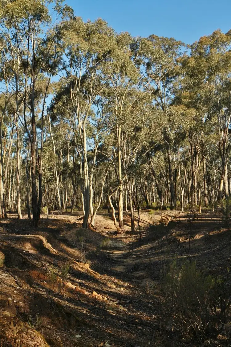 Second view of Homely land listing, 34B Mia Mia - Derrinal Road, Derrinal VIC 3523