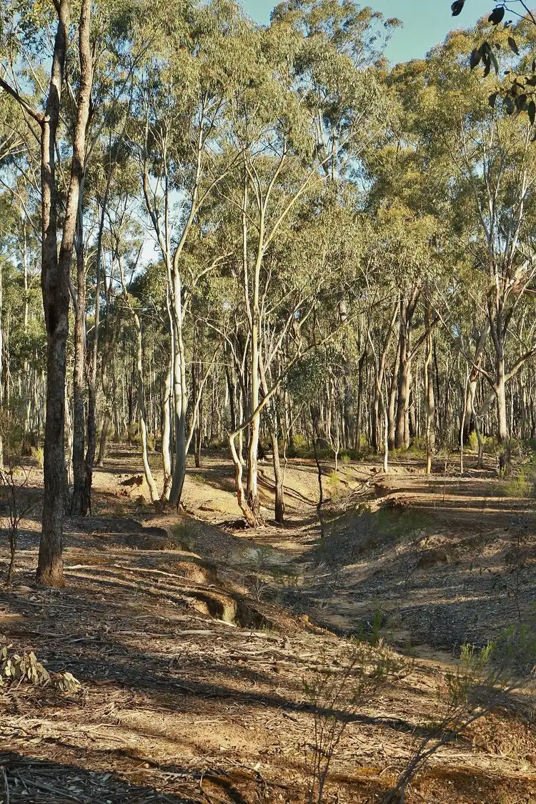 Third view of Homely land listing, 34B Mia Mia - Derrinal Road, Derrinal VIC 3523