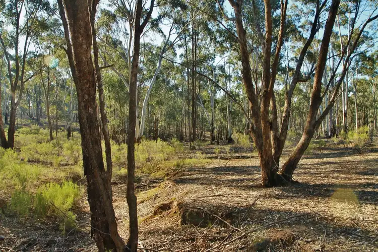 Fifth view of Homely land listing, 34B Mia Mia - Derrinal Road, Derrinal VIC 3523