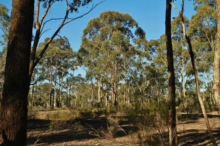 Sixth view of Homely land listing, 34B Mia Mia - Derrinal Road, Derrinal VIC 3523