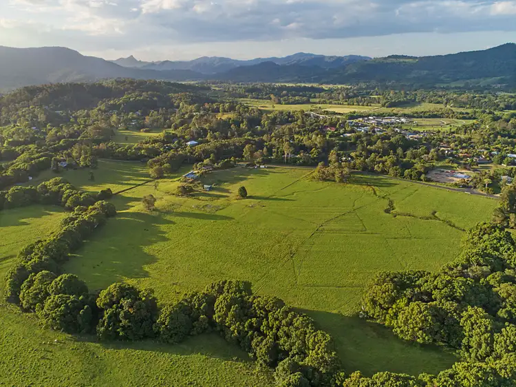 Main view of Homely rural property listing, 113 Left Bank Road, Mullumbimby NSW 2482