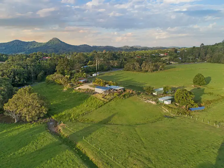 Second view of Homely rural property listing, 113 Left Bank Road, Mullumbimby NSW 2482