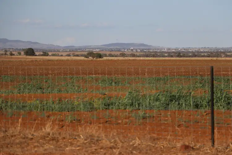 Third view of Homely rural property listing, 0 Mount Abundance Road, Roma QLD 4455