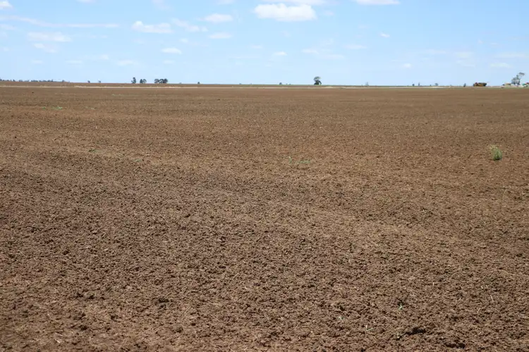 Fifth view of Homely rural property listing, 0 Mount Abundance Road, Roma QLD 4455