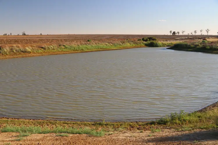 Sixth view of Homely rural property listing, 0 Mount Abundance Road, Roma QLD 4455