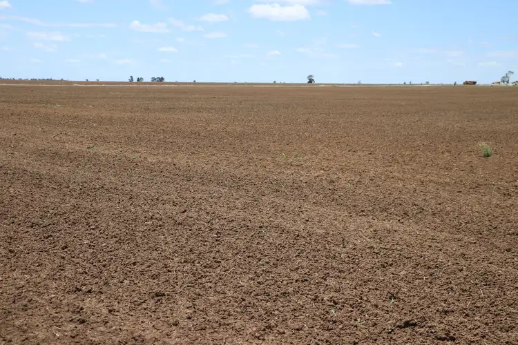 Fifth view of Homely rural property listing, 0 Mount Abundance Road, Roma QLD 4455