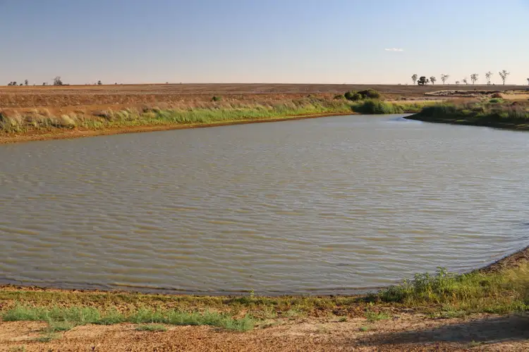 Sixth view of Homely rural property listing, 0 Mount Abundance Road, Roma QLD 4455