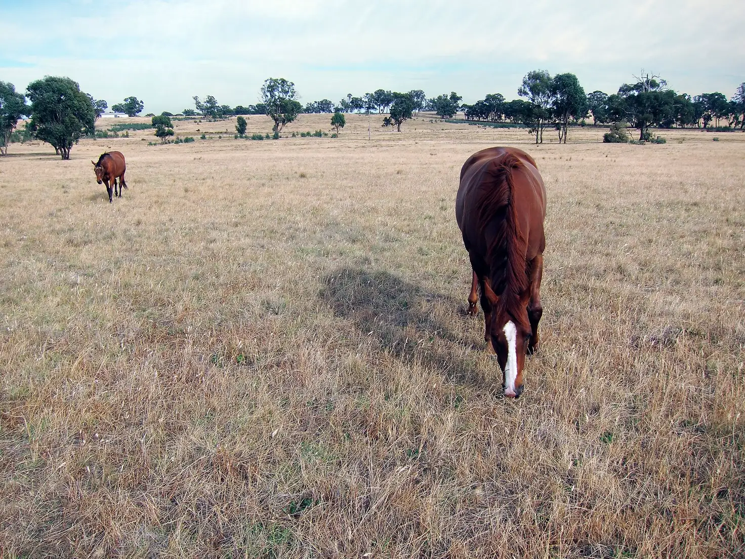 Main view of Homely land listing, Lot 2/246 Hunters Lane, Knowsley VIC 3523