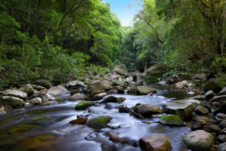 Second view of Homely rural property listing, 476A Brogers Creek Road, Berry NSW 2535