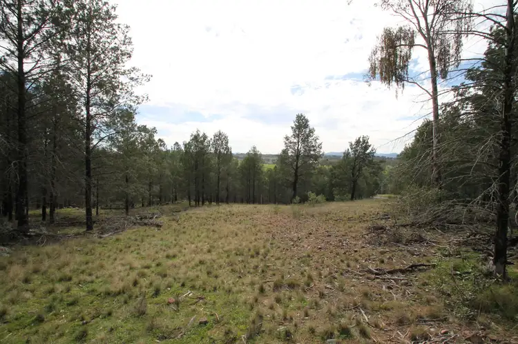Second view of Homely rural property listing, Lot 13 Grandview Place, Quirindi NSW 2343