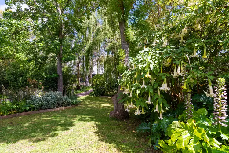 Fourth view of Homely house listing, 29 Suffolk Road, Hawthorndene SA 5051