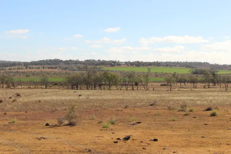 Main view of Homely rural property listing, 293 Heinemann Road, Scrubby Mountain, Pittsworth QLD 4356