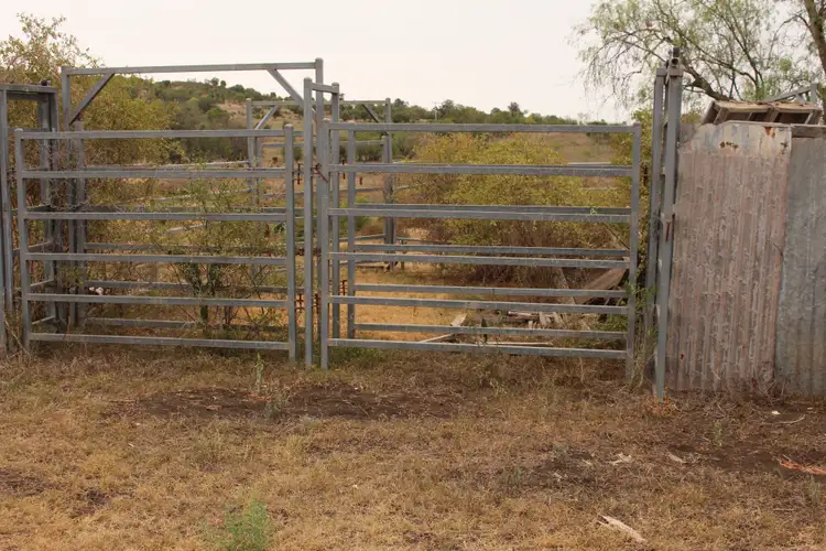 Sixth view of Homely rural property listing, 293 Heinemann Road, Scrubby Mountain, Pittsworth QLD 4356