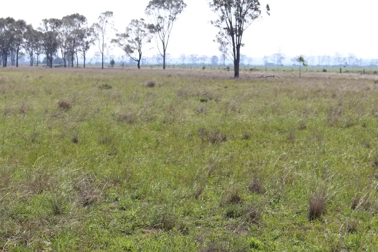 Third view of Homely rural property listing, 328 Punchs Creek Road, Punchs Creek, Millmerran QLD 4357