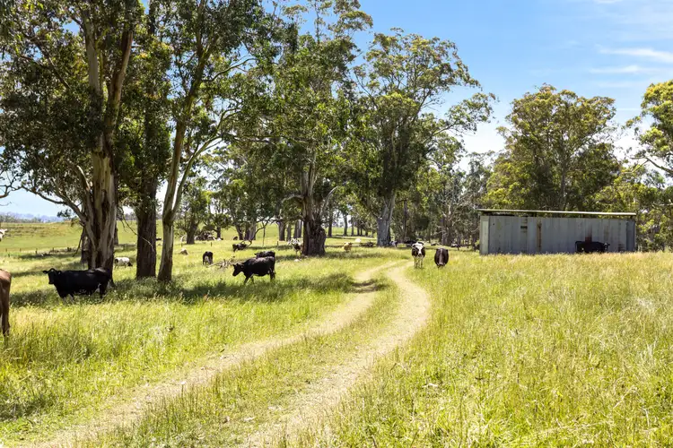 Main view of Homely rural property listing, 1705 Main South Road, Hallora VIC 3818