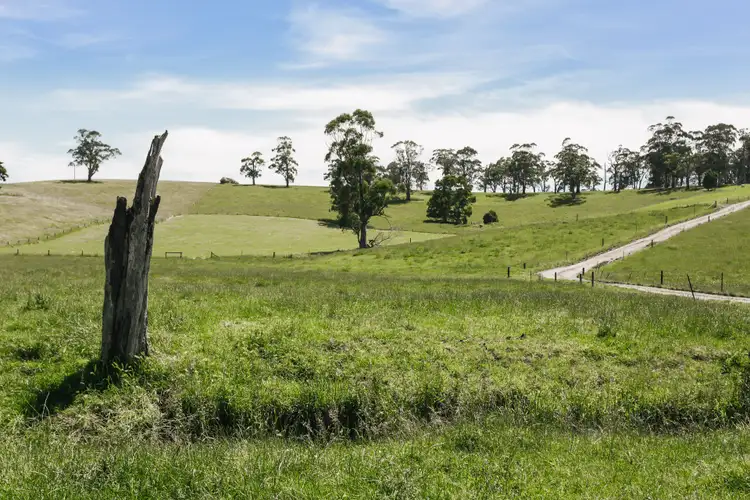 Sixth view of Homely rural property listing, 1705 Main South Road, Hallora VIC 3818