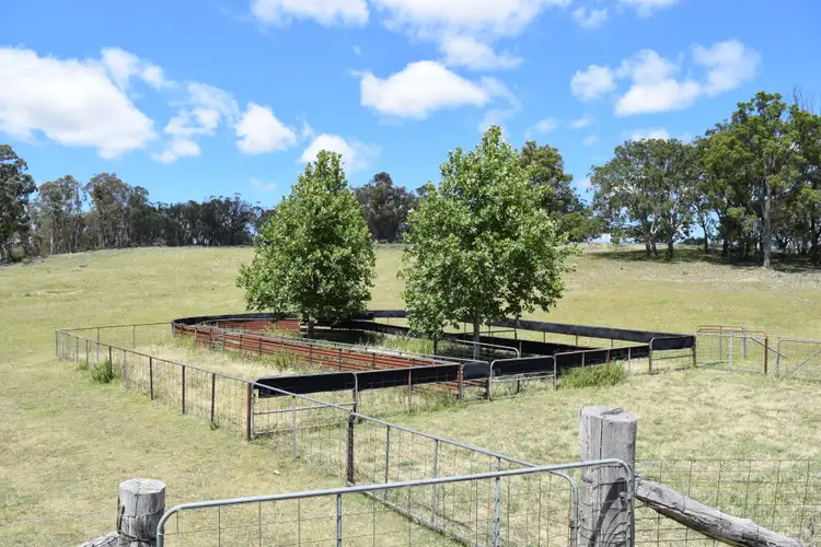 Second view of Homely rural property listing, 2201 Longford Road, Guyra NSW 2365