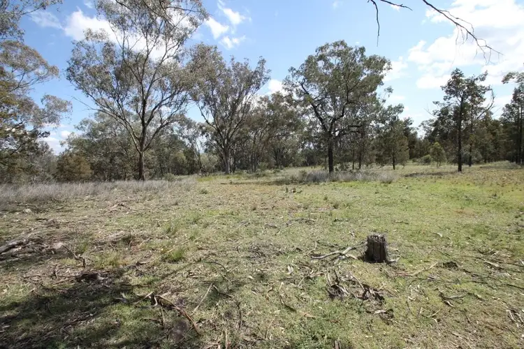 Second view of Homely rural property listing, Lot 17 Ray Carter Drive, Quirindi NSW 2343