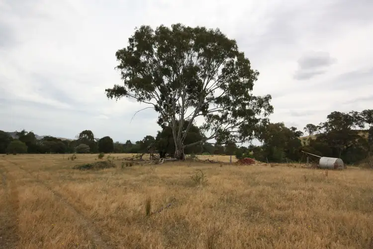 Sixth view of Homely rural property listing, 1805 Kilfeera Road, Molyullah VIC 3673