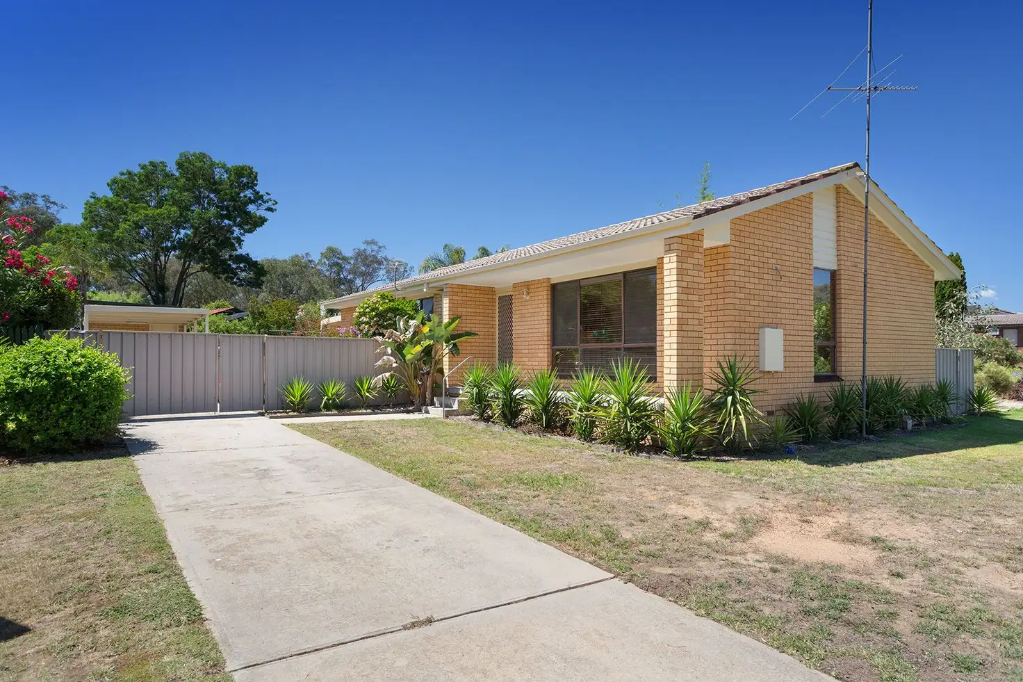 Main view of Homely house listing, 3 Lacebark Court, Thurgoona NSW 2640