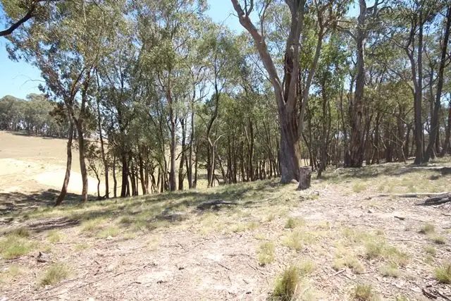 Second view of Homely rural property listing, 951 Campbells River Road, Isabella NSW 2795