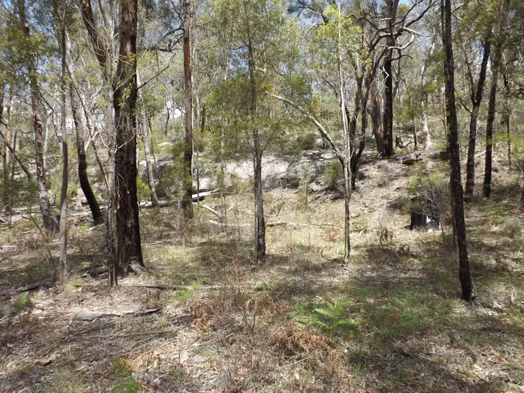 Seventh view of Homely rural property listing, Address available on request