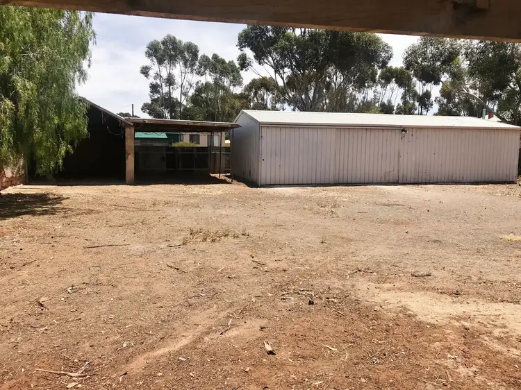 Second view of Homely house listing, 29 Sturt Street, Cambrai SA 5353