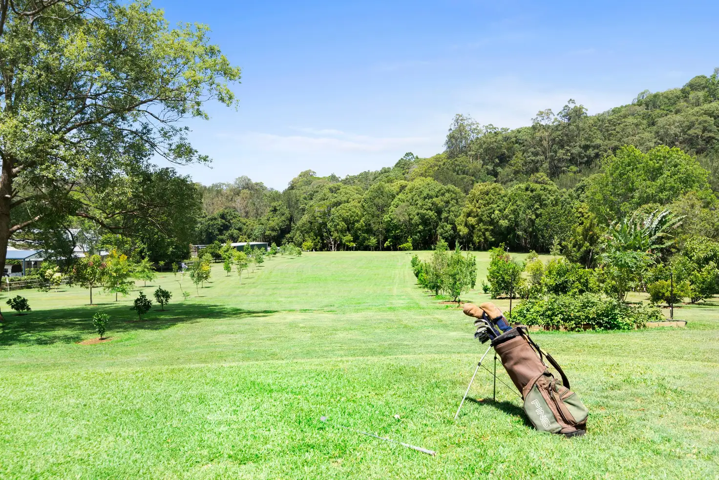 Main view of Homely house listing, 641 Tallebudgera Creek Road, Tallebudgera Valley QLD 4228