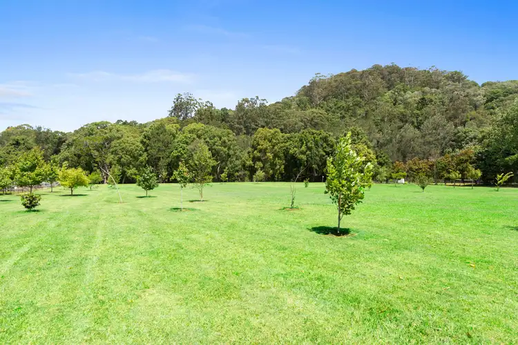 Fifth view of Homely house listing, 641 Tallebudgera Creek Road, Tallebudgera Valley QLD 4228
