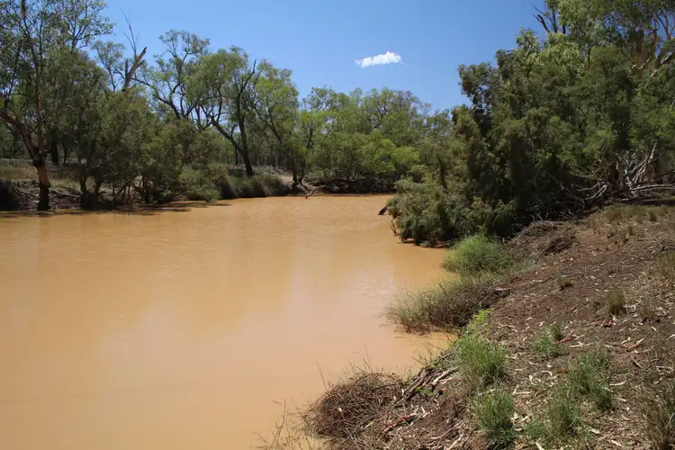 Second view of Homely rural property listing, 35797 Mitchell Highway, Charleville QLD 4470